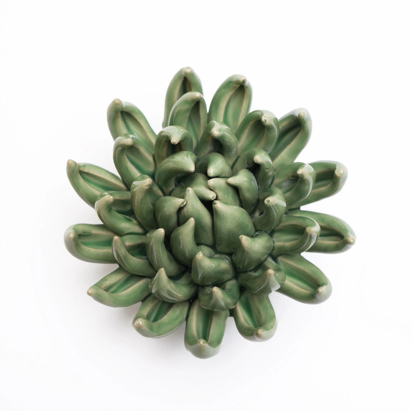 English Garden Green Large Succulent