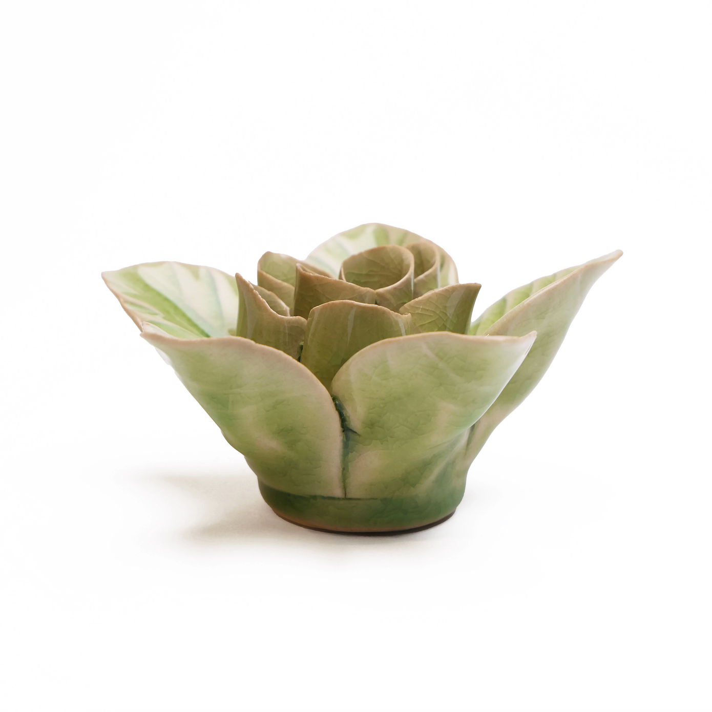 English Garden Green Lotus