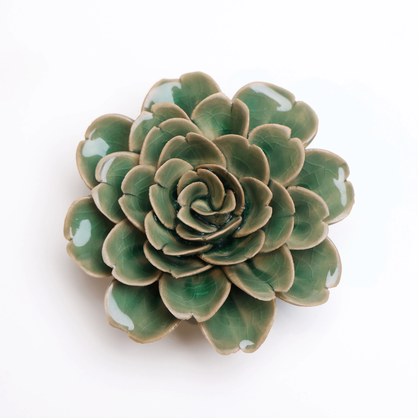 English Garden Pastel Green Tea Rose