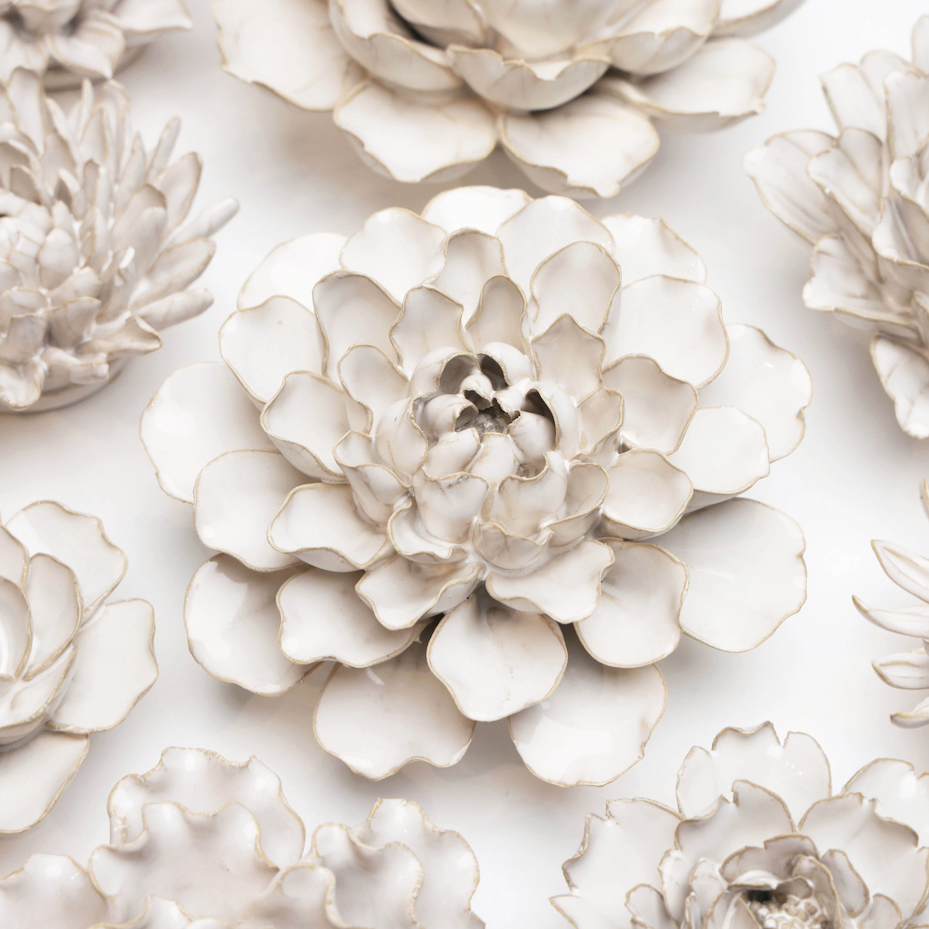 Ivory Water Lily
