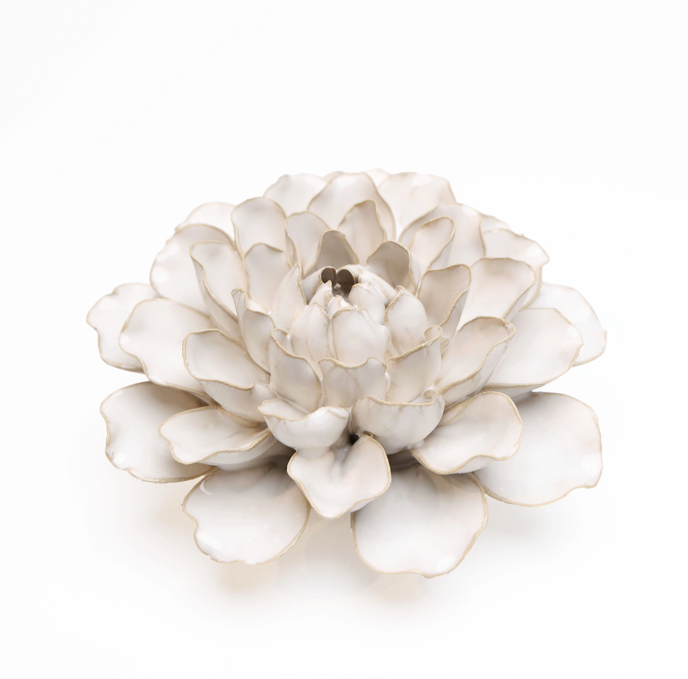 Ivory Water Lily