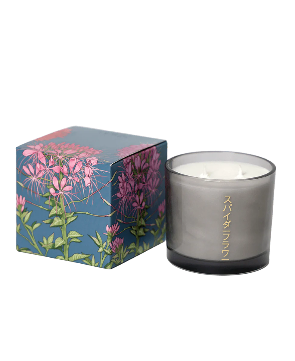 Spiderflower Shido Candle