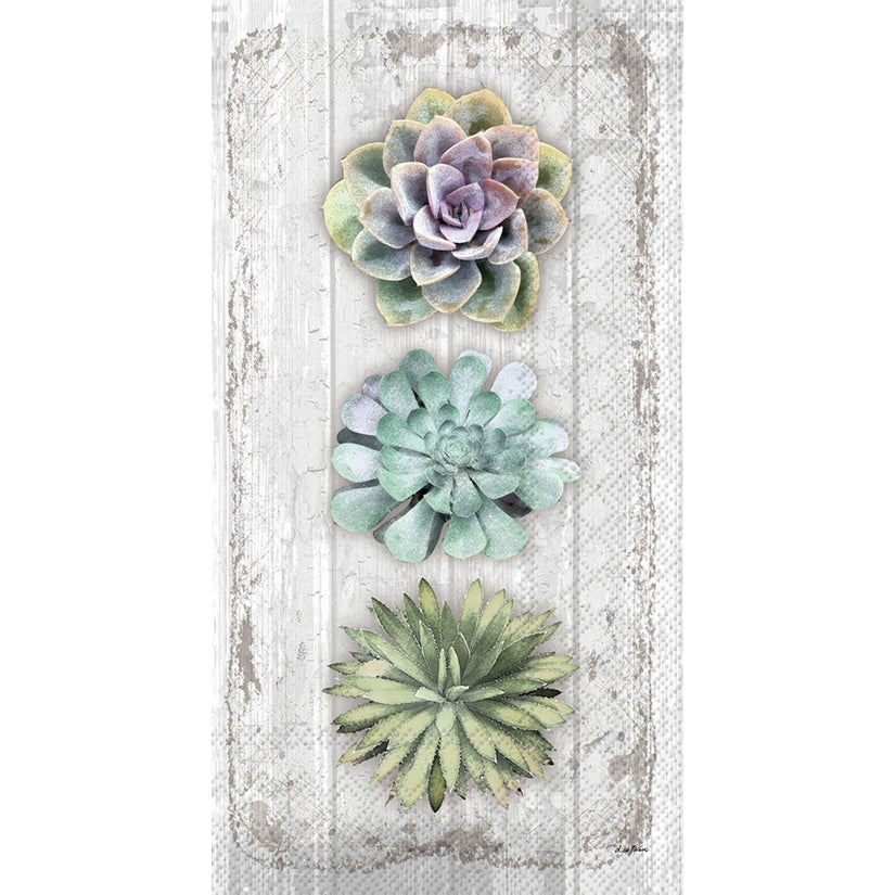 Succulents Still Life Guest Towels