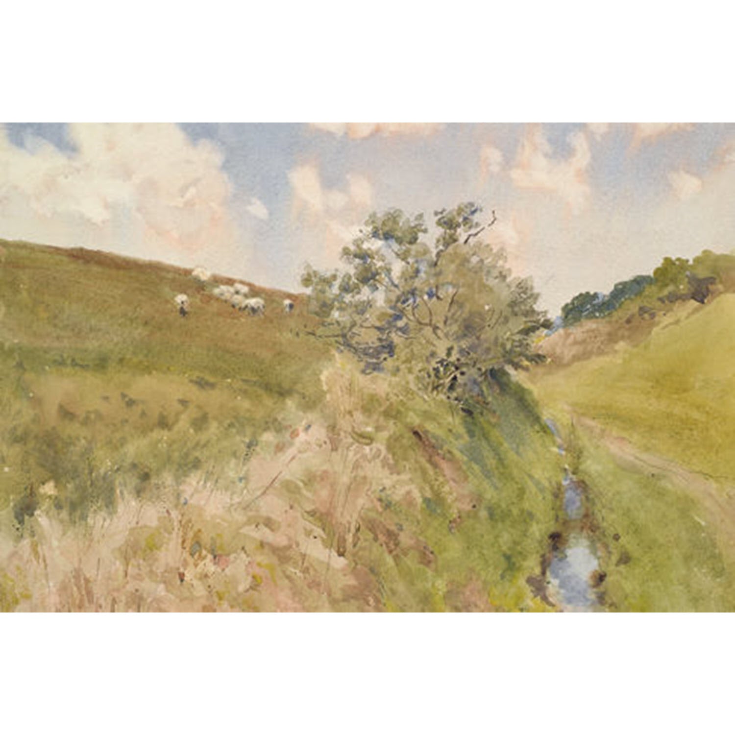 Tree Along Brook Watercolor