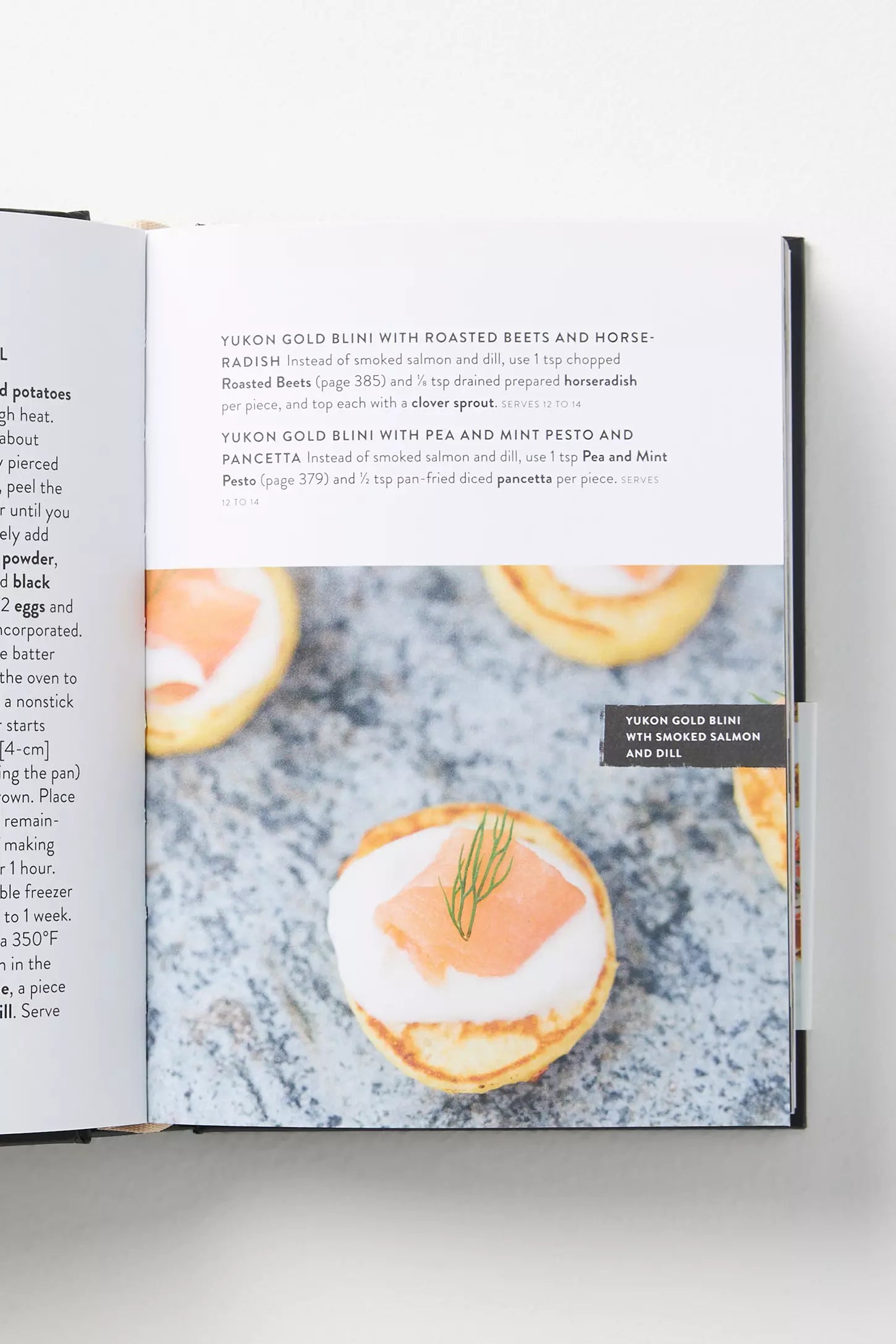 Ultimate Appetizer Idea book