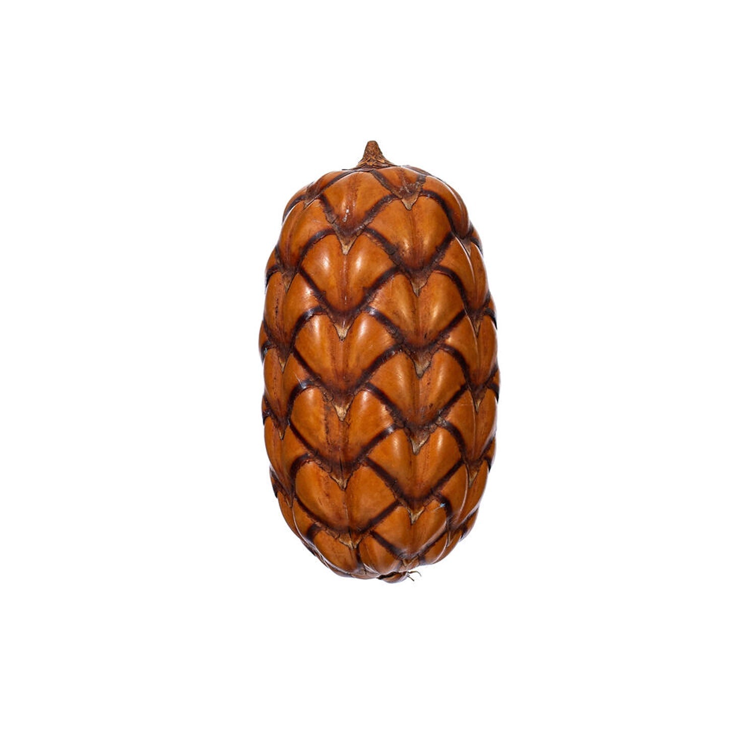 Uxi Pod Pack of 8