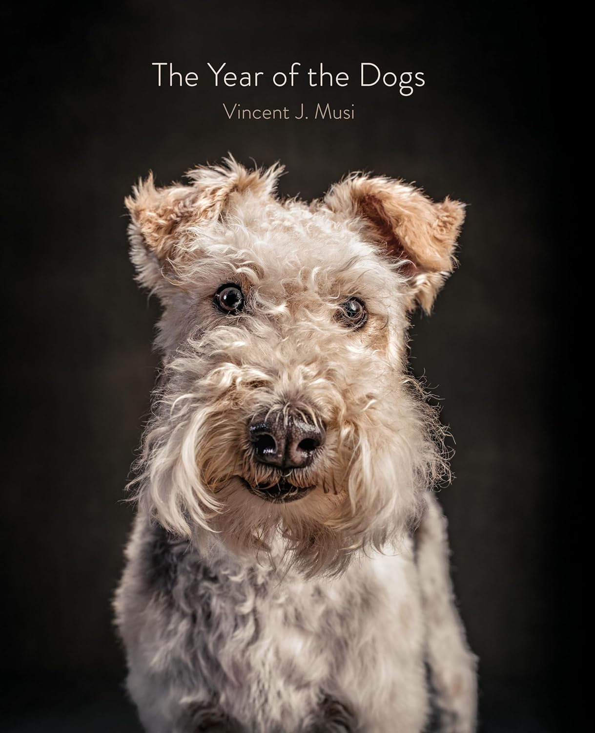 The Year of The Dogs