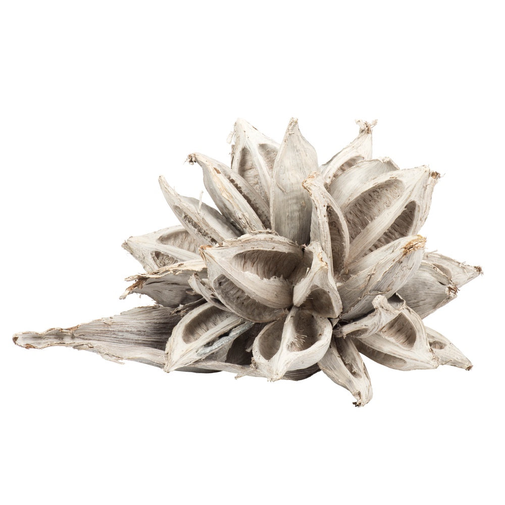 White Wash Star Pod