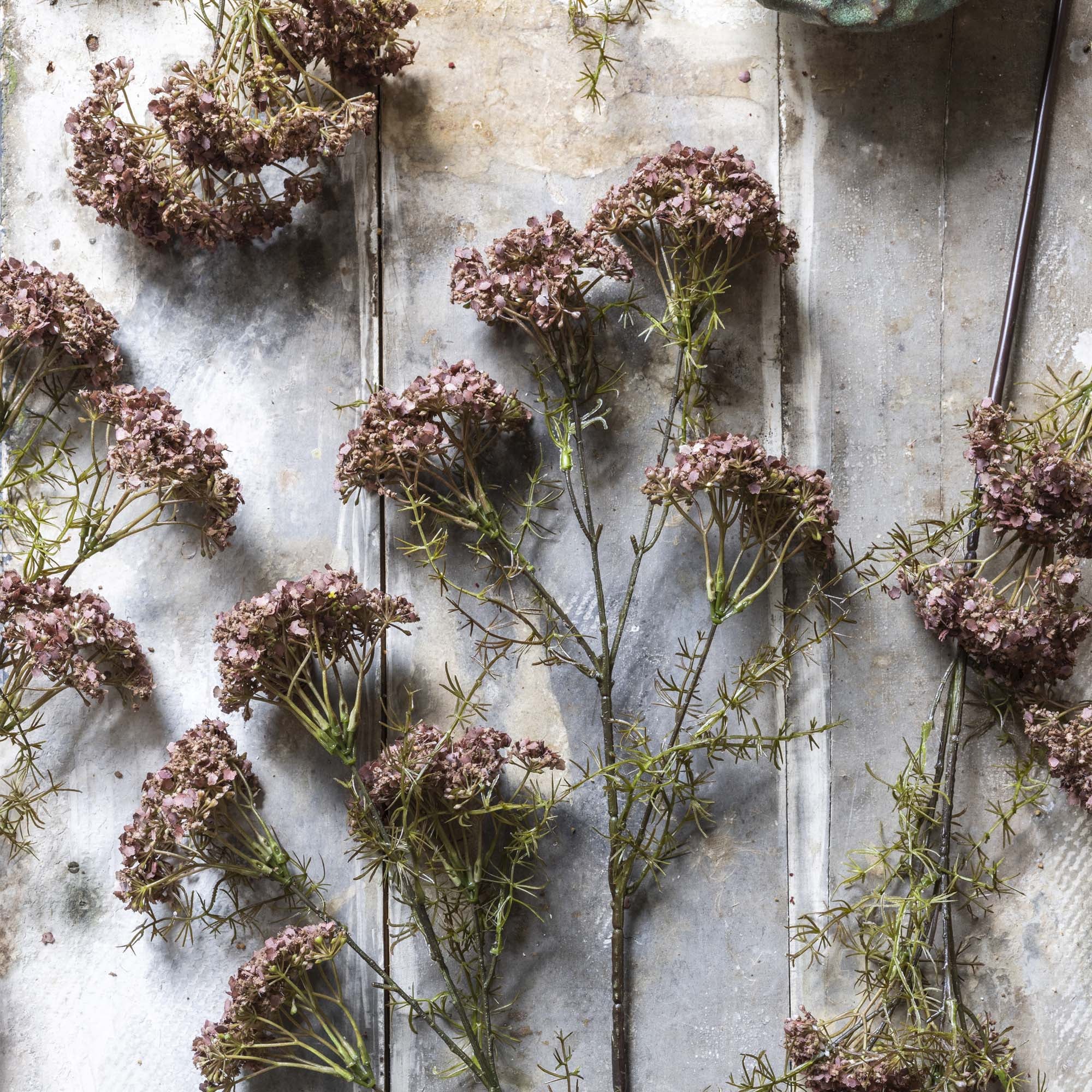 Dill Flower