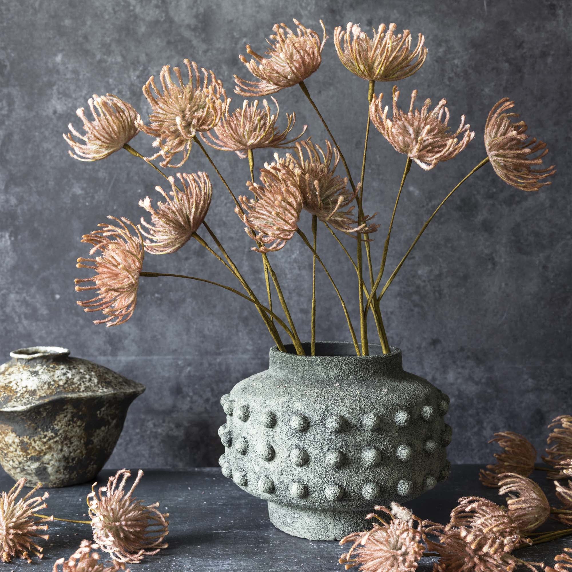 Leucospermum Blush