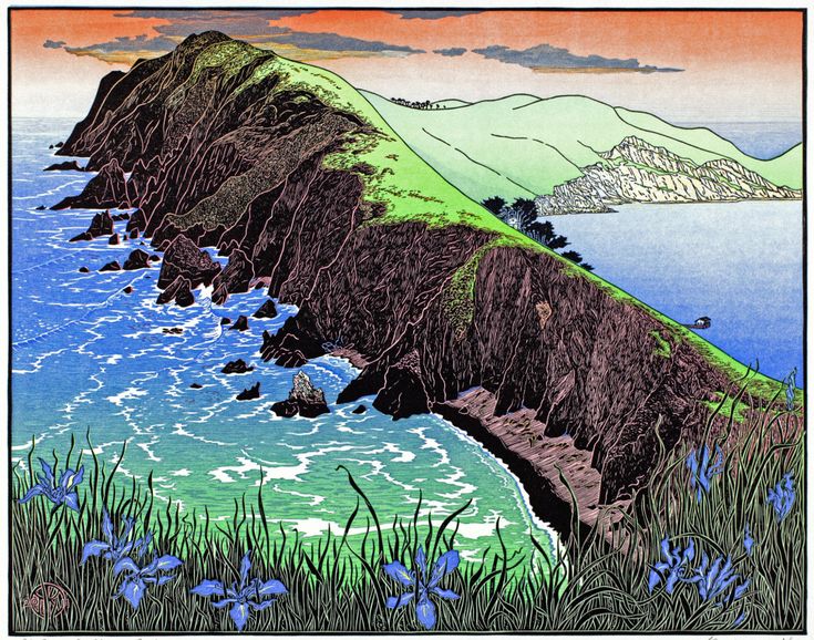 California Wild Coast Note Cards