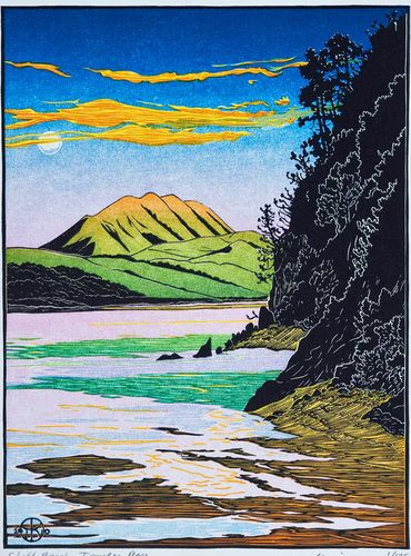 California Wild Coast Note Cards