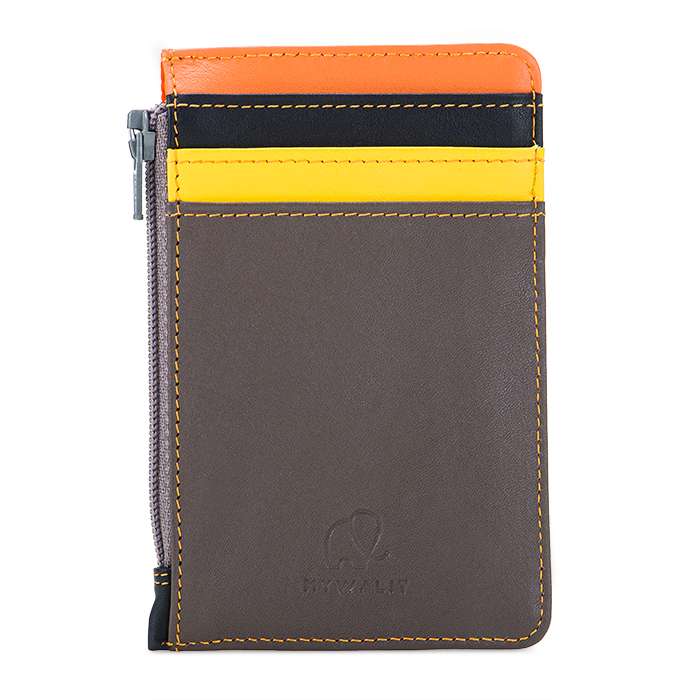 Credit Card Holder with Coin Purse