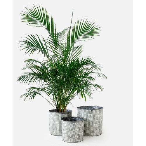 Diamond Pattern Bucket