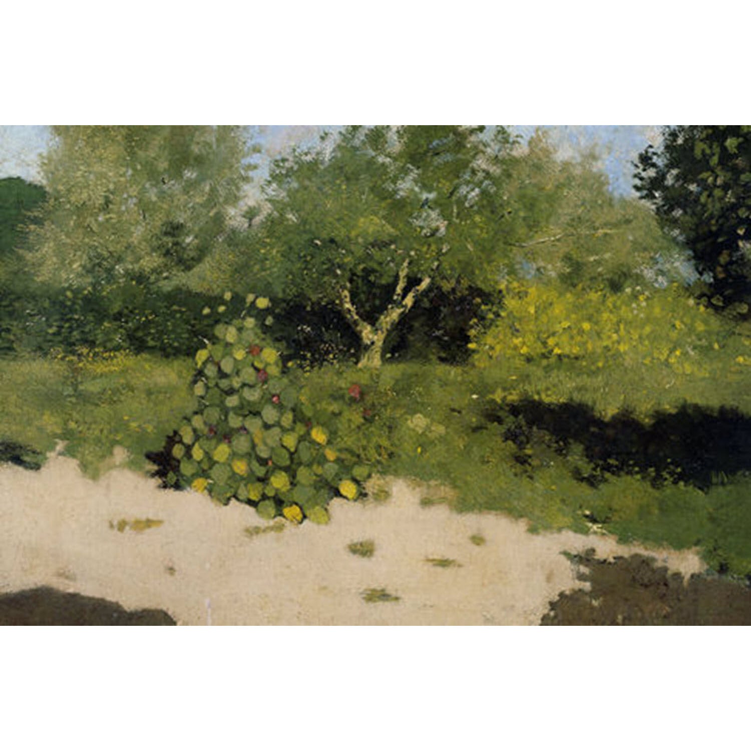 Garden in Orchard