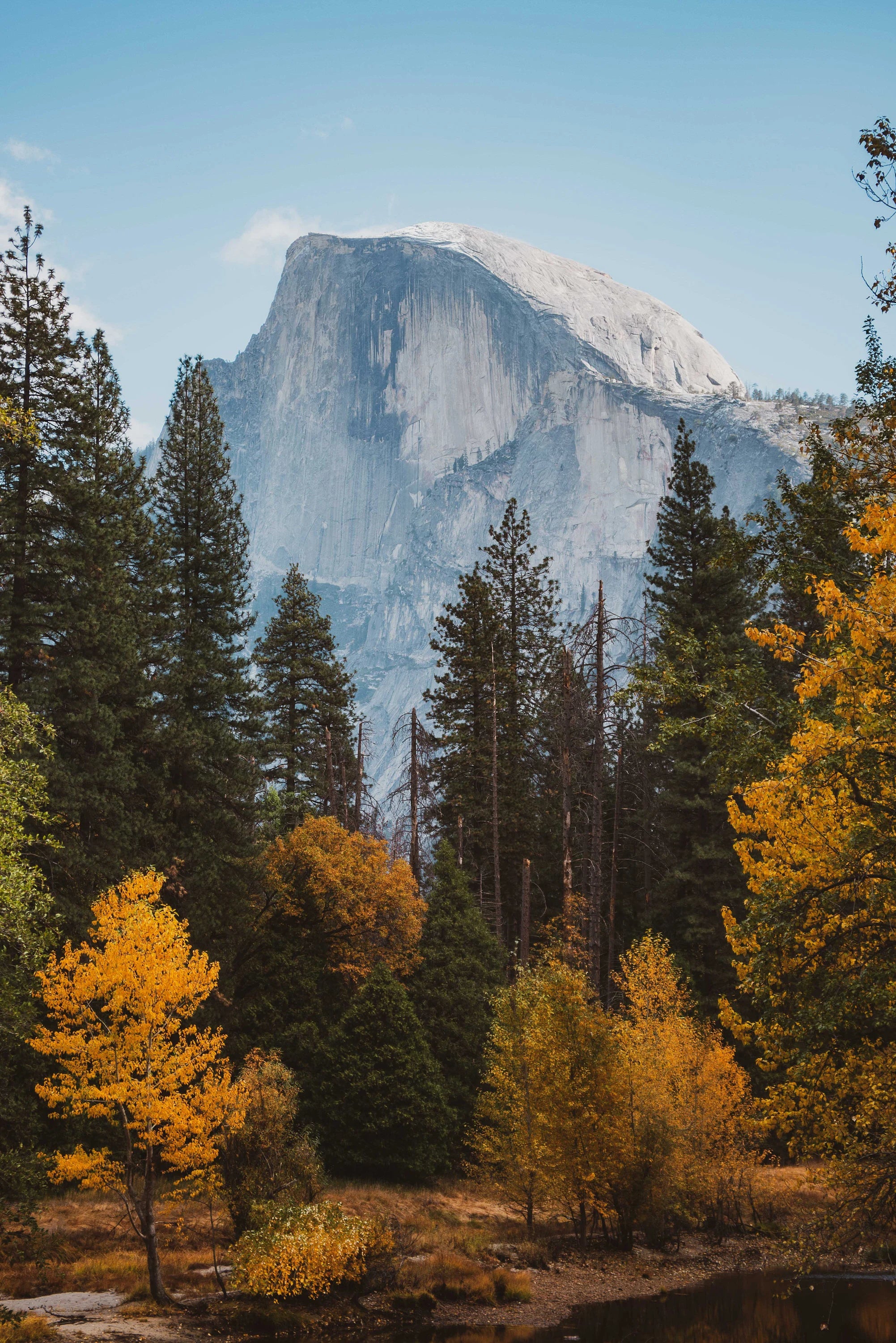 Yosemite National Park Candle