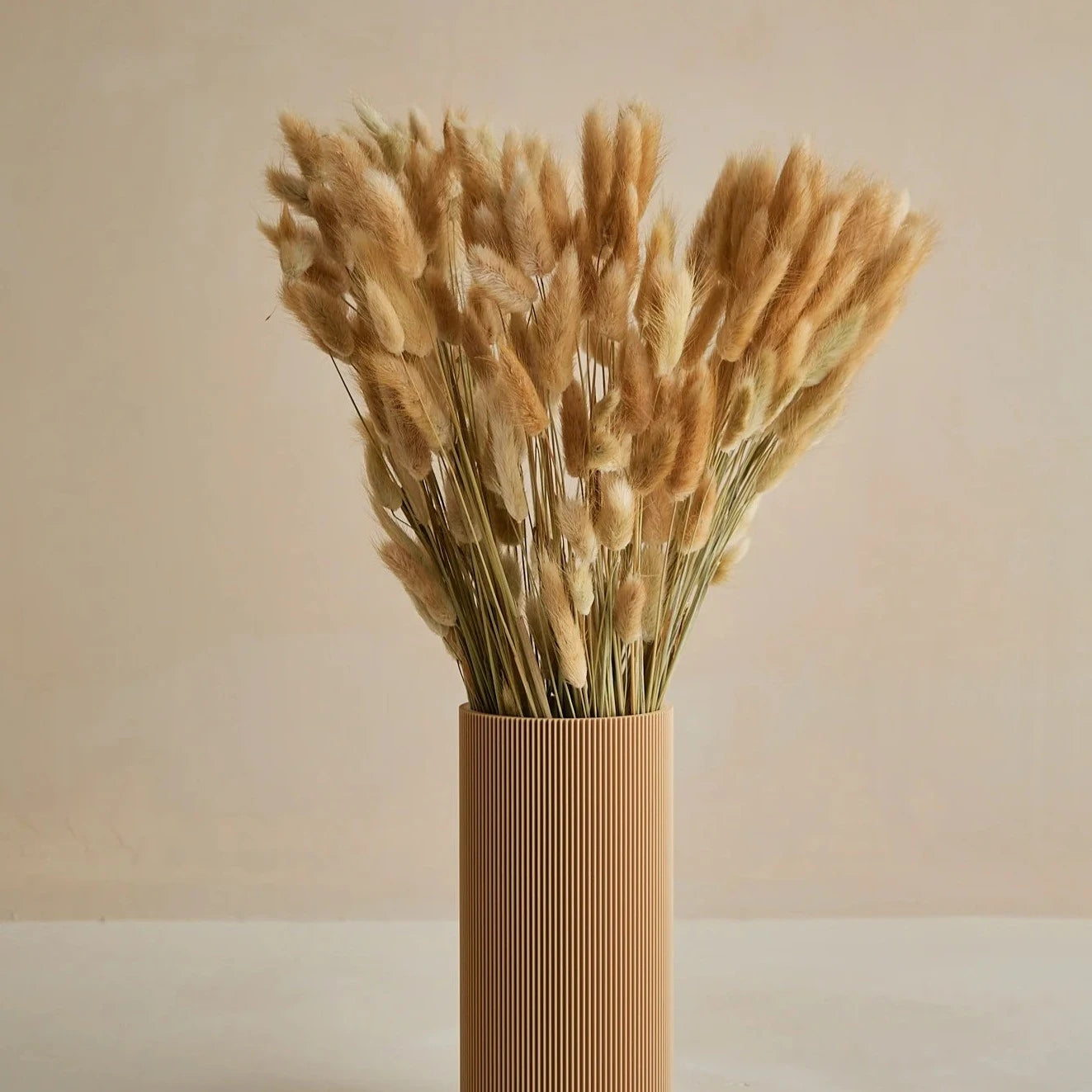 Dried Bunny Tails Bouquet