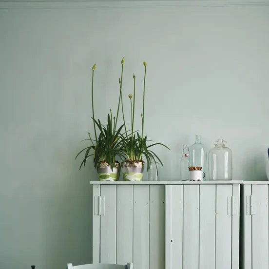 Farrow & Ball Teresa's Green No. 236