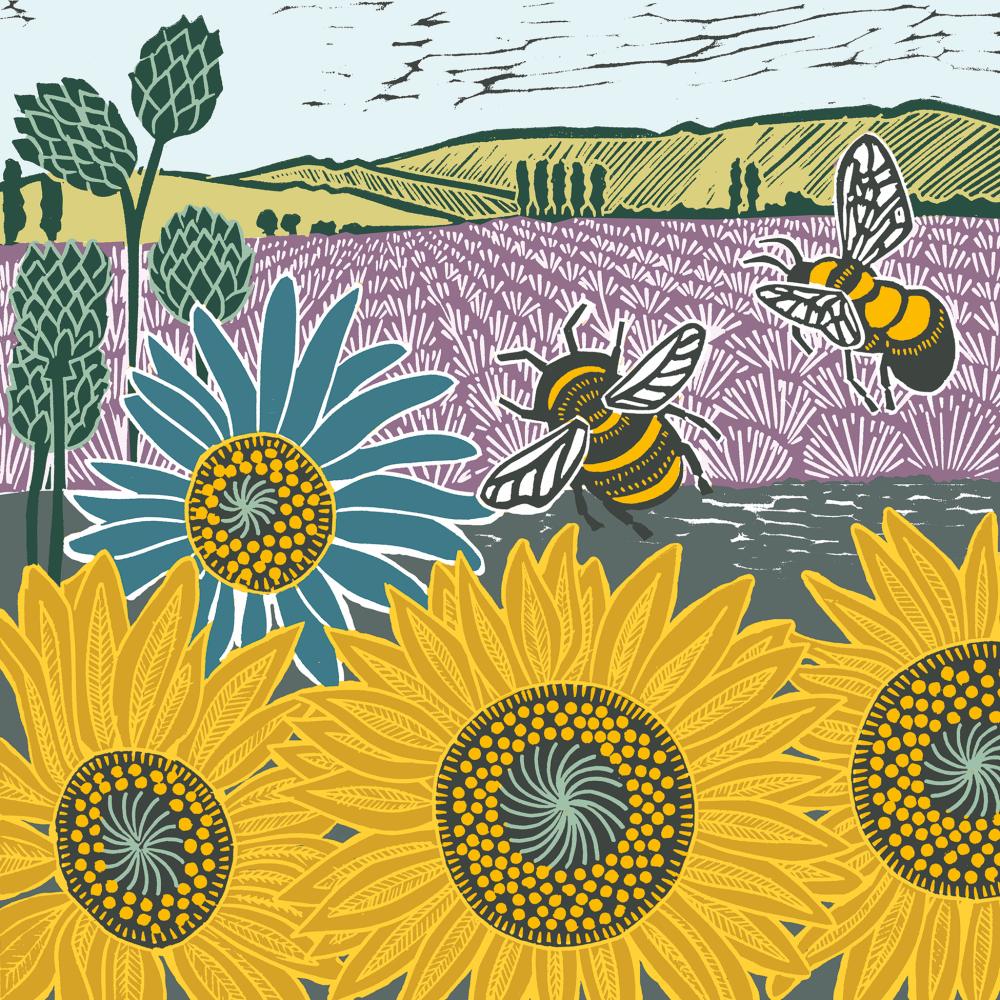 Lavender & Sunflowers