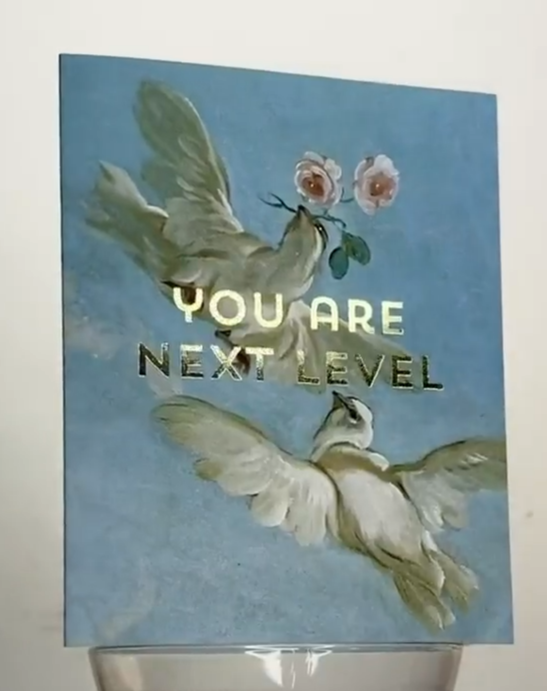 Level Doves Greeting Card