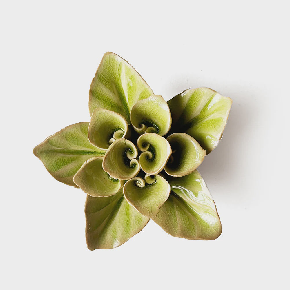 English Garden Green Lotus