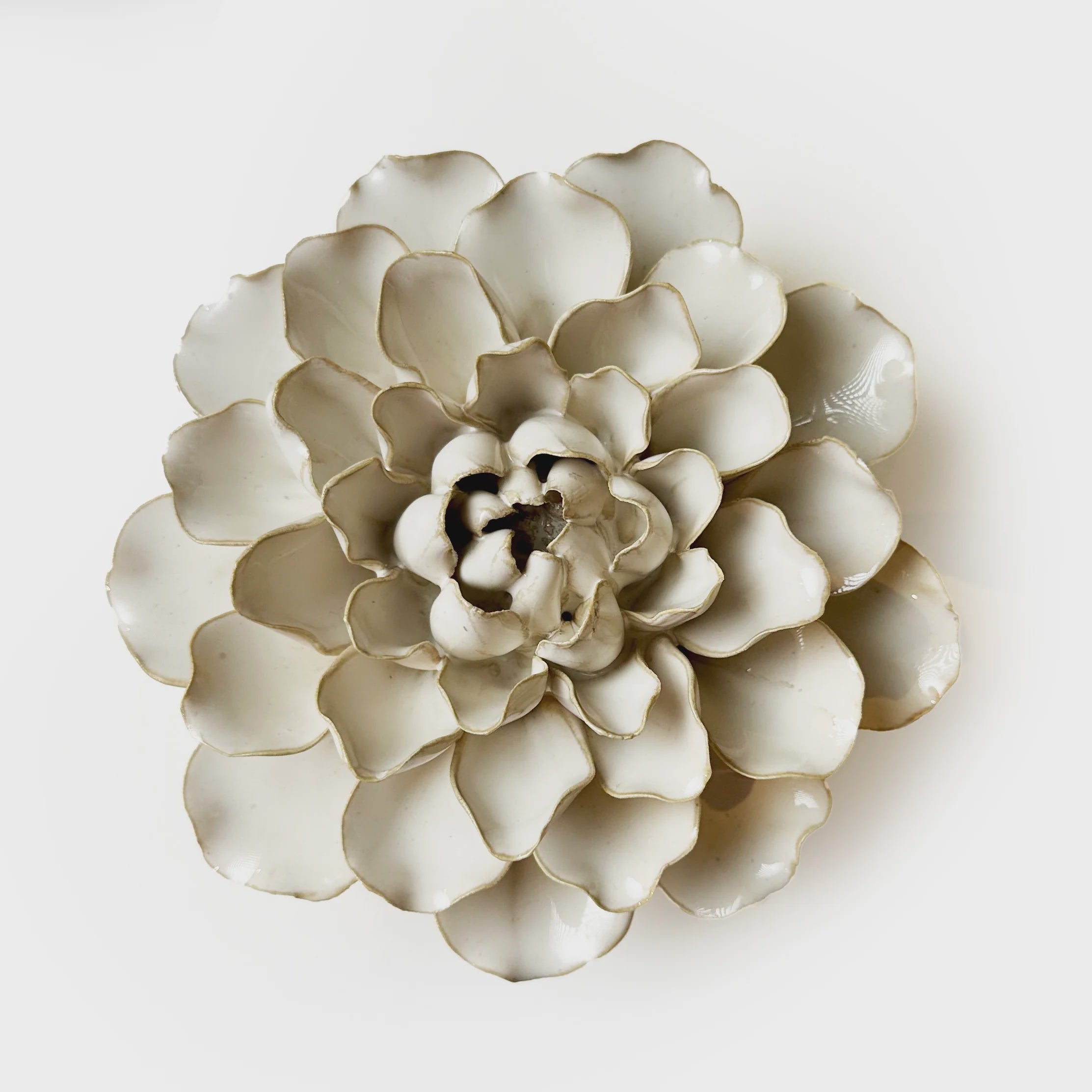 Ivory Water Lily