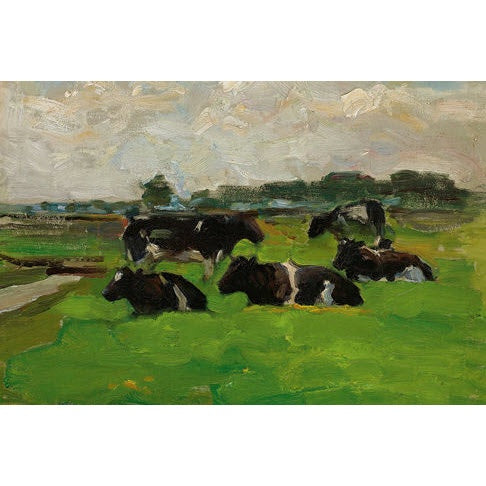 Five Cows Lying in Green Pasture