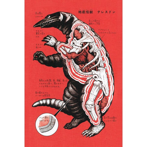 Japanese Monster Lizard