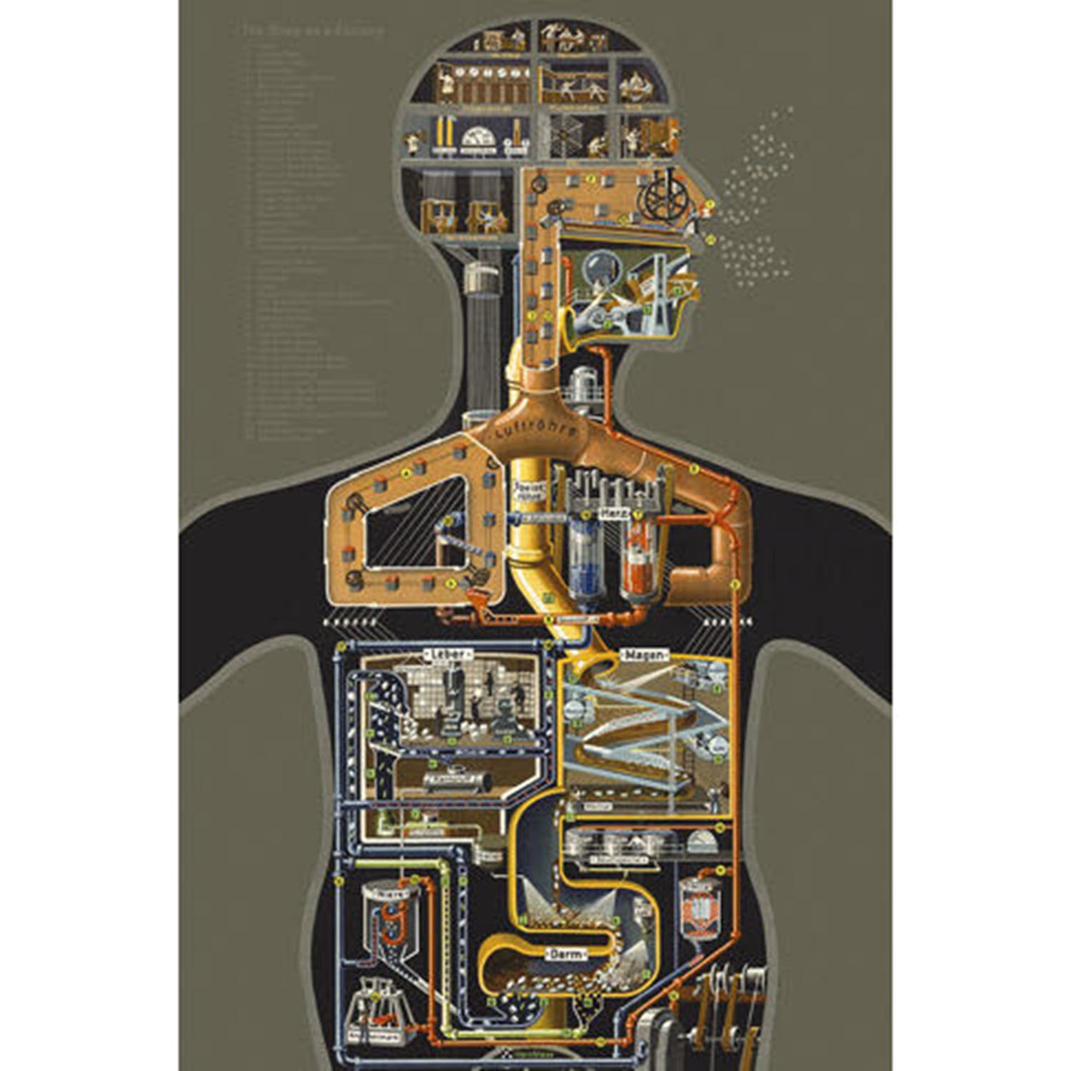Industrial Anatomy Art Print