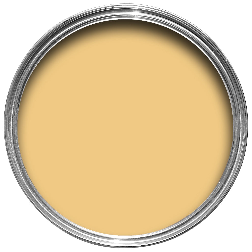 Farrow & Ball Yellow Ground No. 218