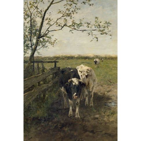 Cows in the Field Art Print