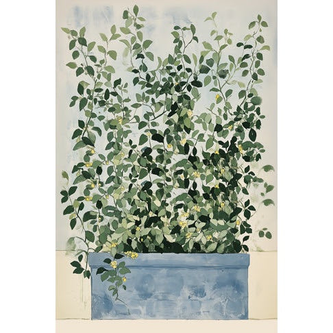 Potted Plant