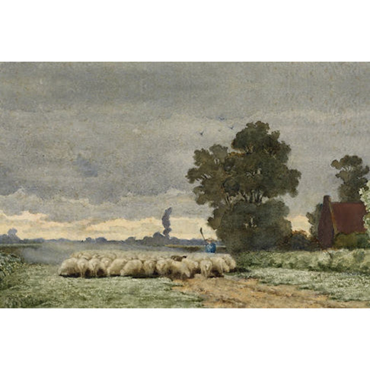 Sheep Herd on Road Artist Board