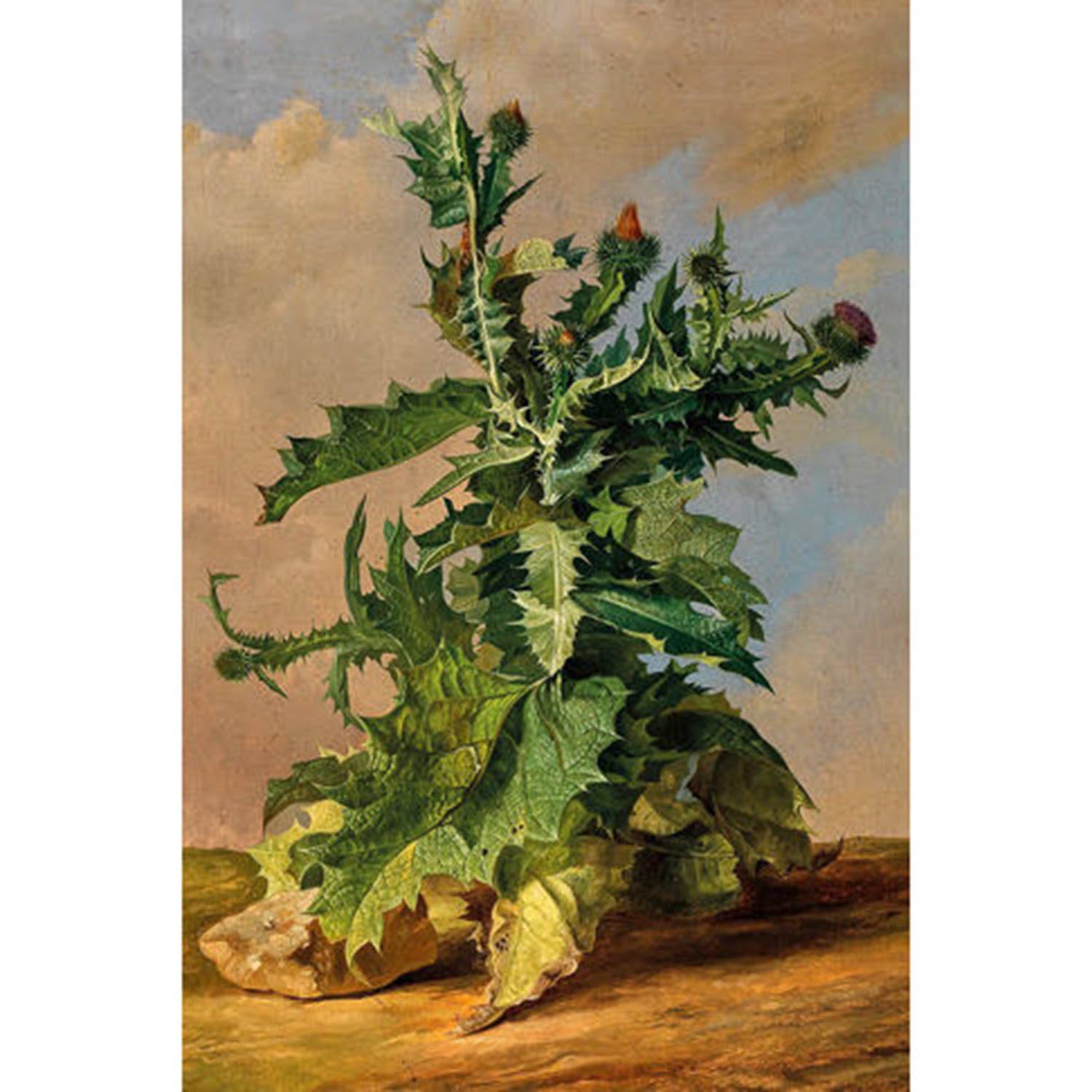 Grand Thistle Painting Art Print