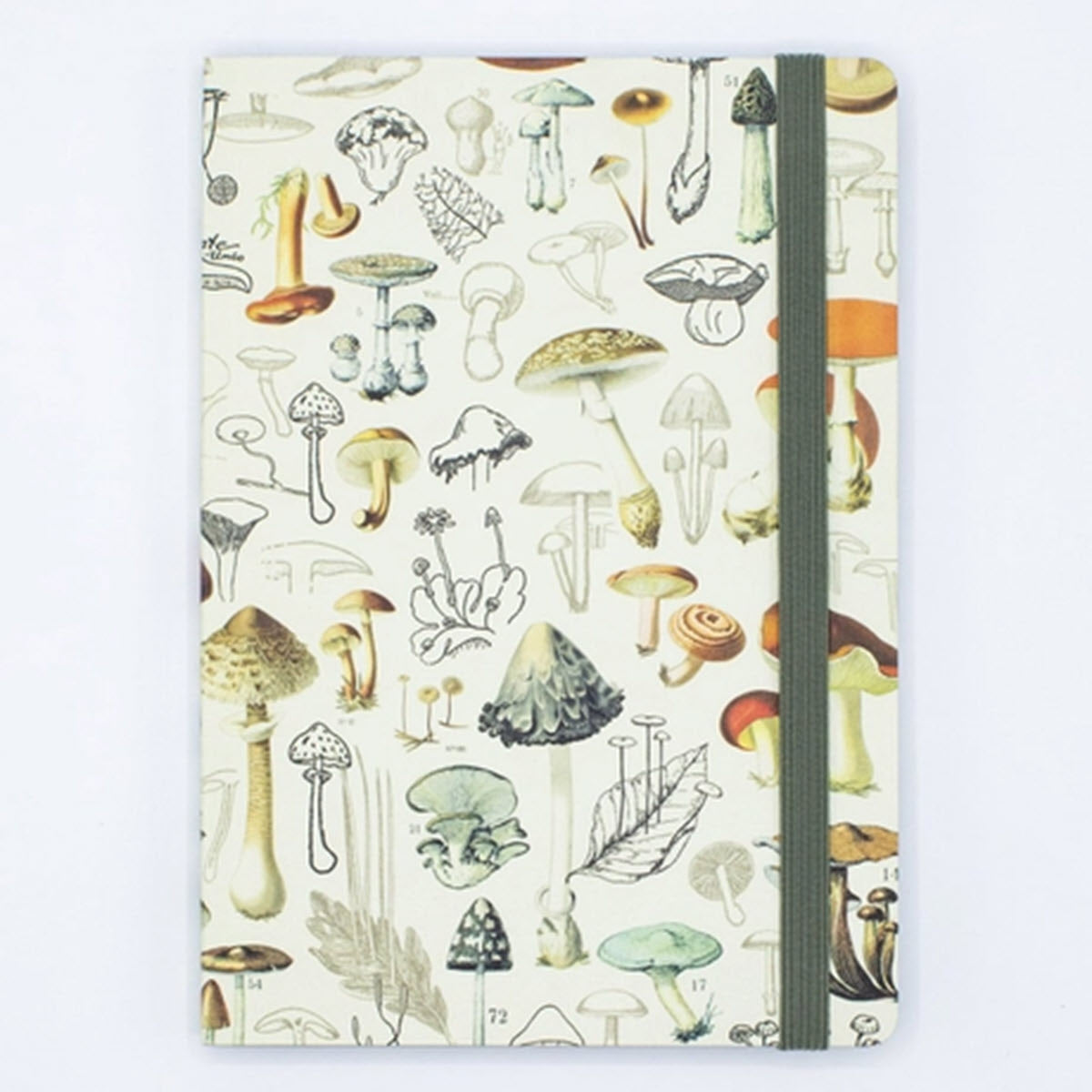 Mushrooms Softcover Journal