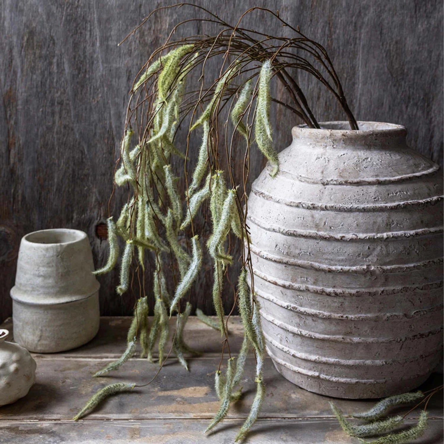 Trailing Catkin Stem
