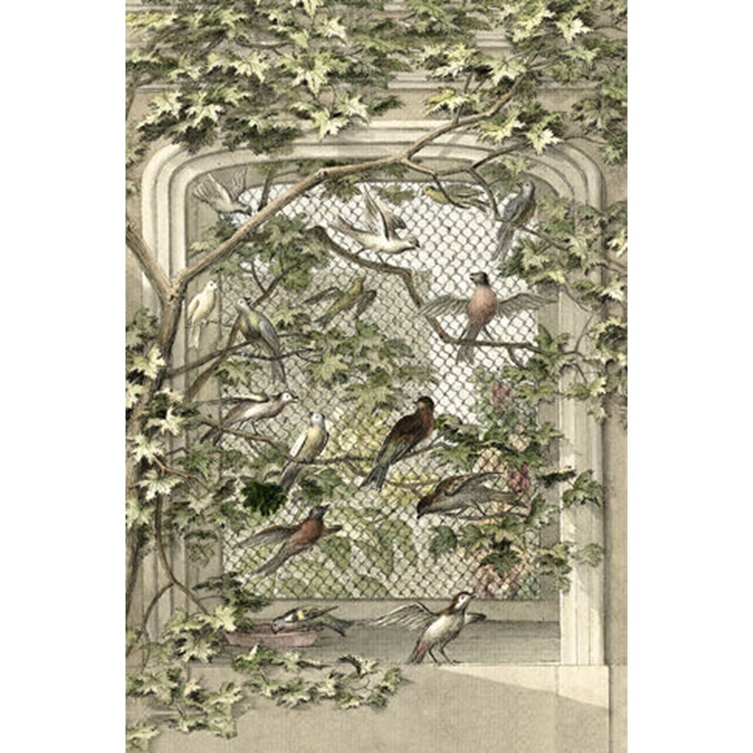 Birds in a Garden Window