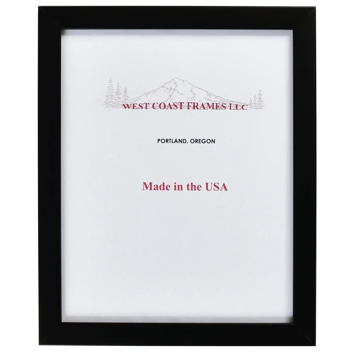 Black Poly Contemporary Picture Frame