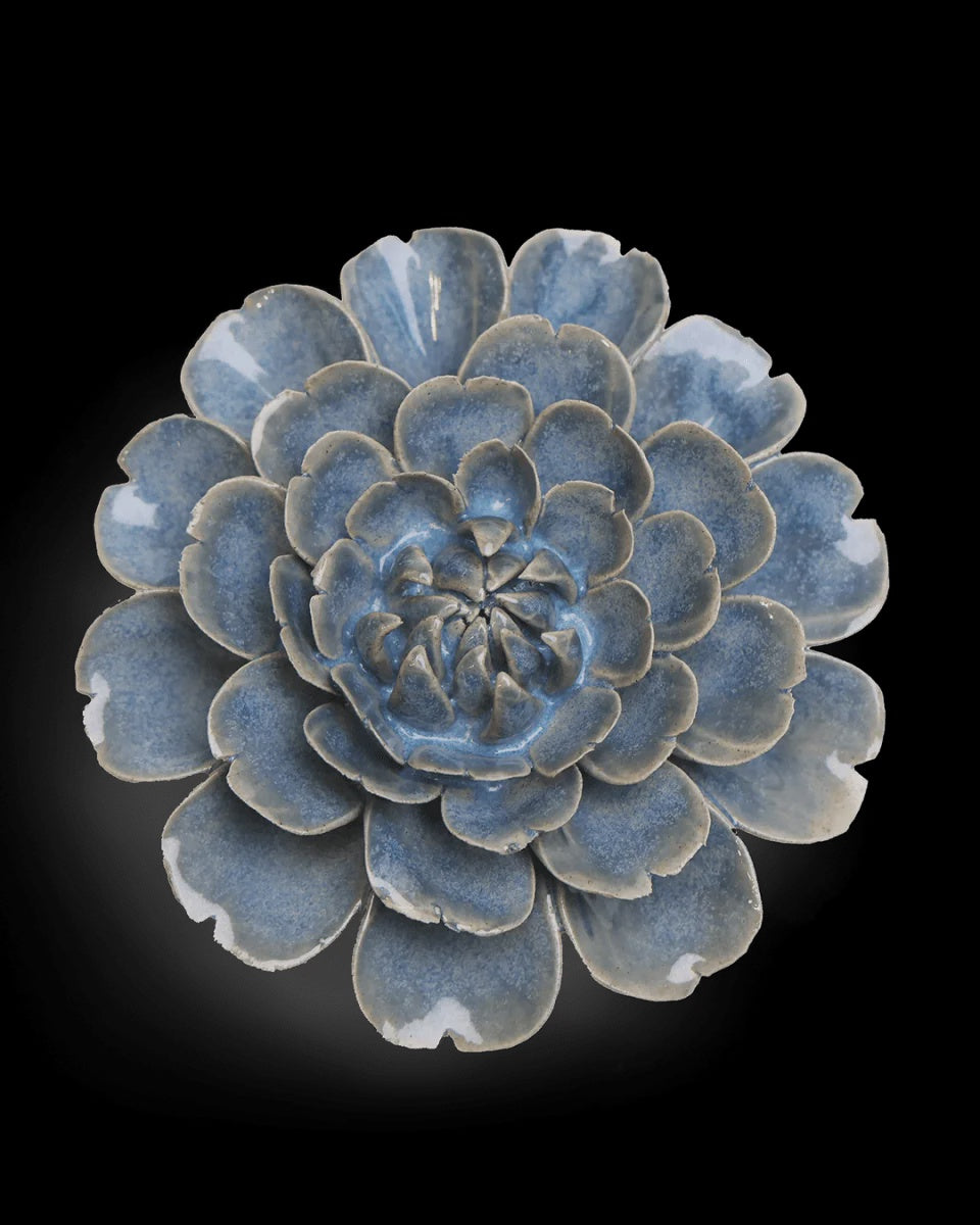 Fancy Blue Fiesta Marigold
