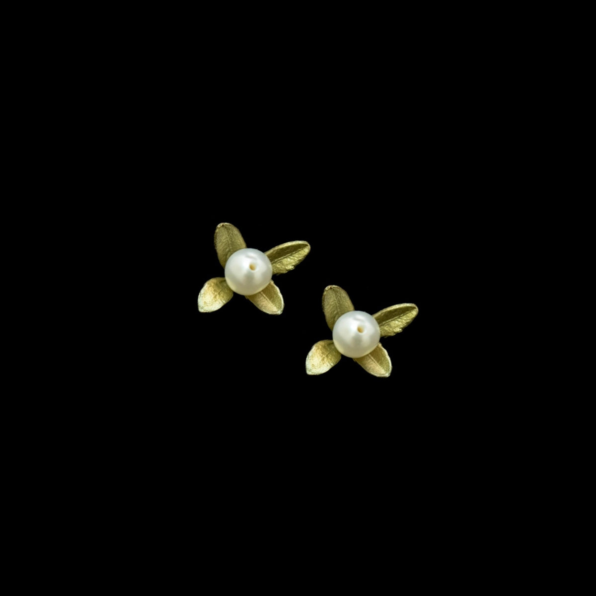 Boxwood Post Earrings