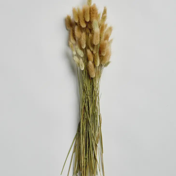 Dried Bunny Tails Bouquet