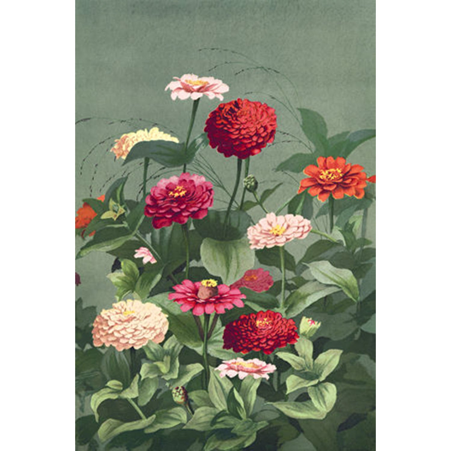 Carnation Garden Painting