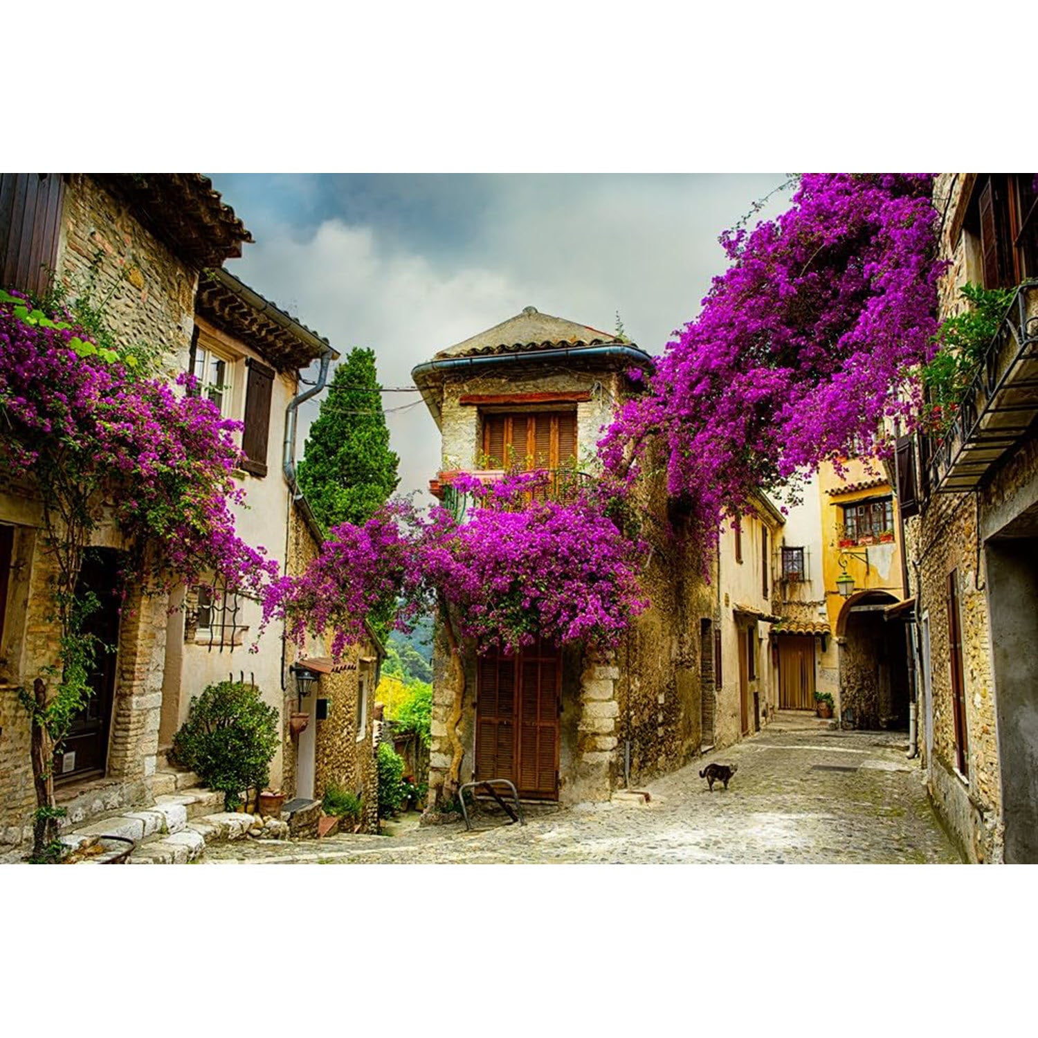 Charming France