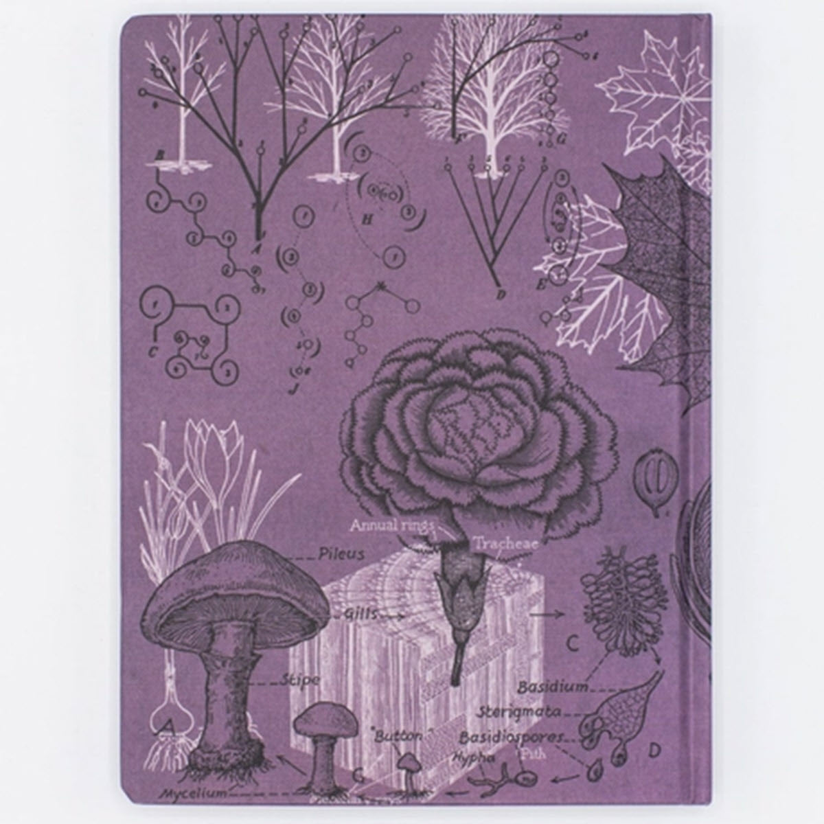 Forest Hardcover Journal