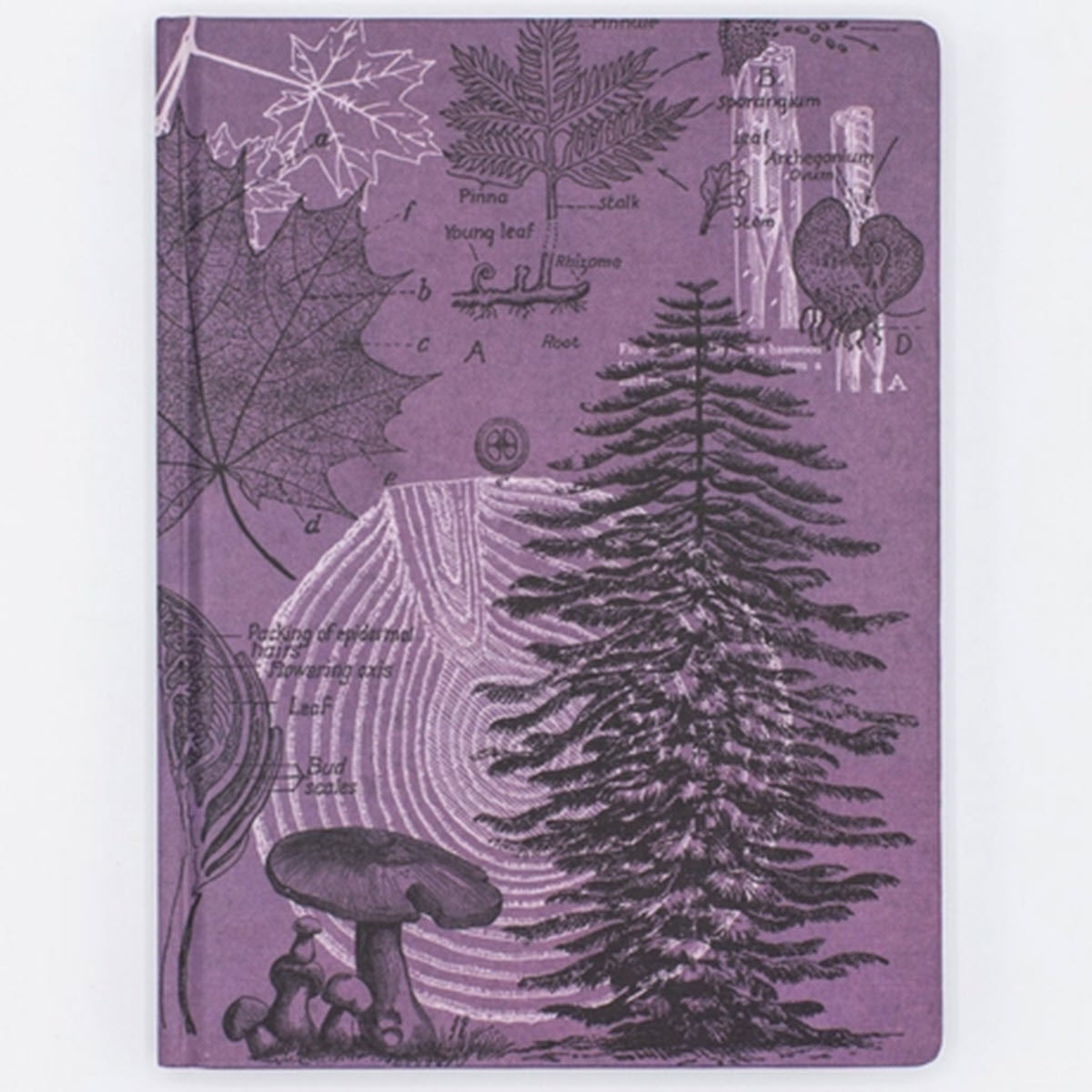 Forest Hardcover Journal