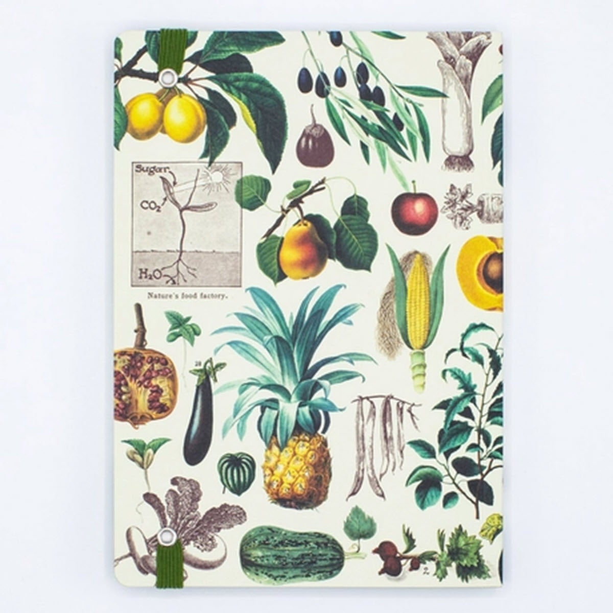 Fruit & Vegetables Soft Cover Journal