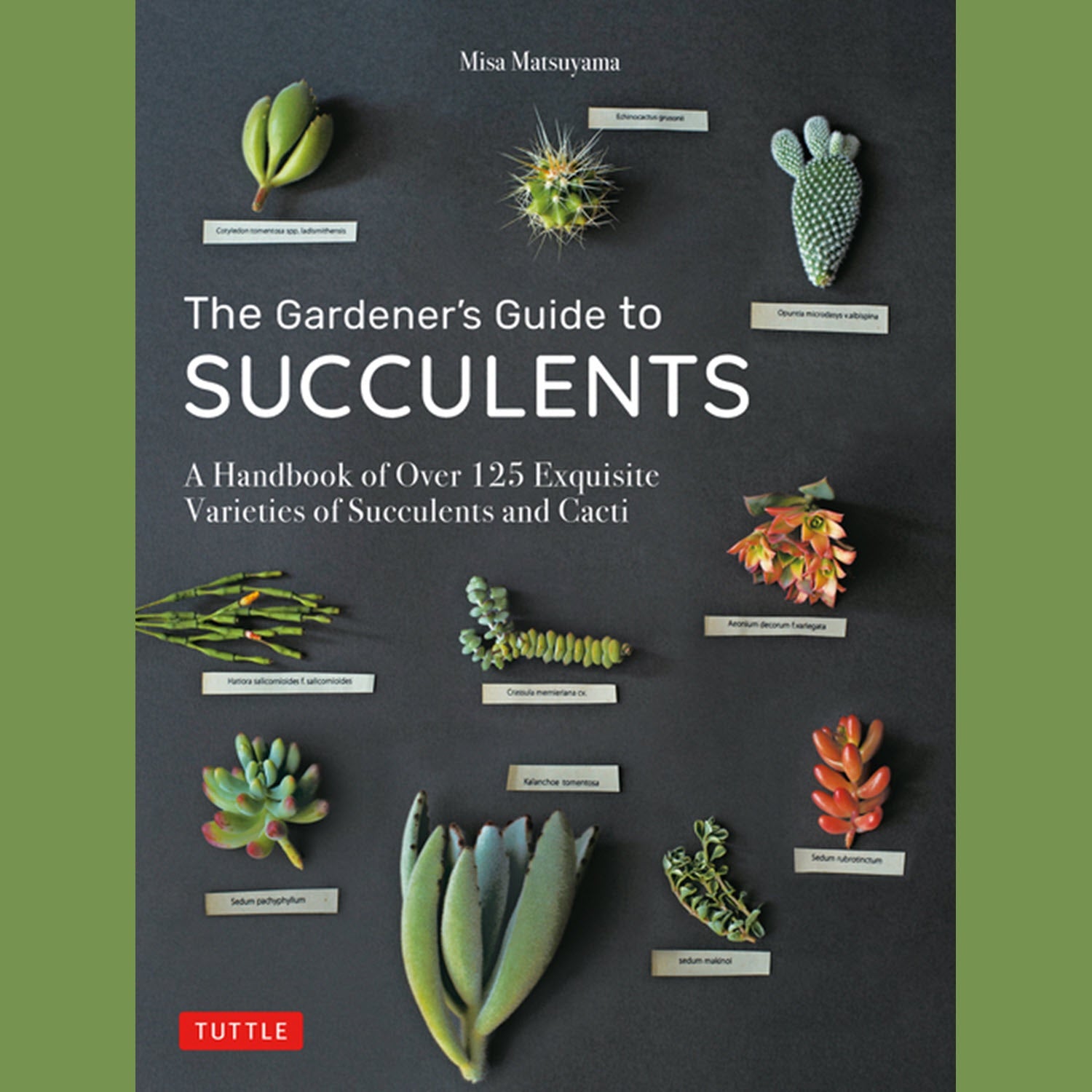 Gardener's Guide to Succulents
