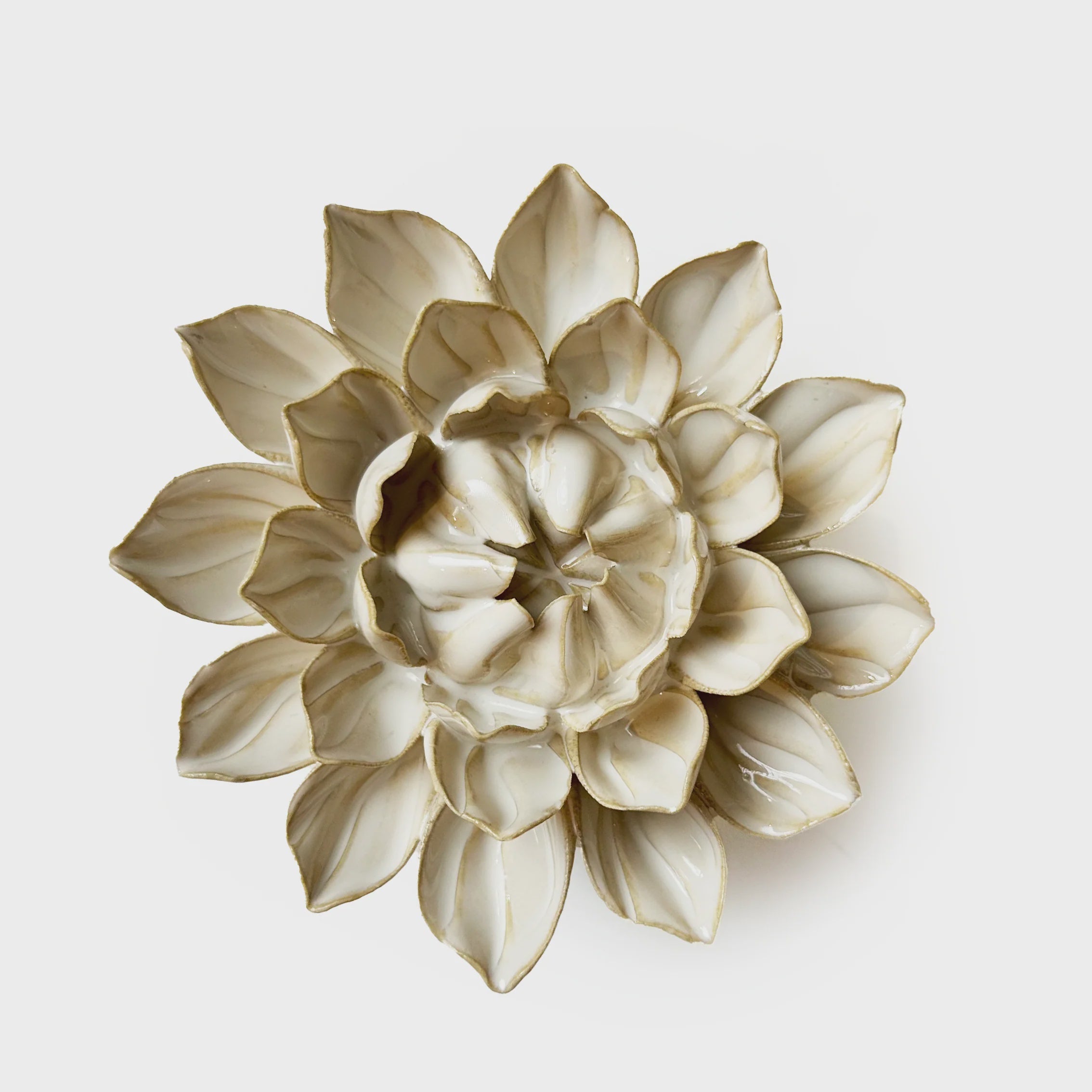 Ivory Dahlia