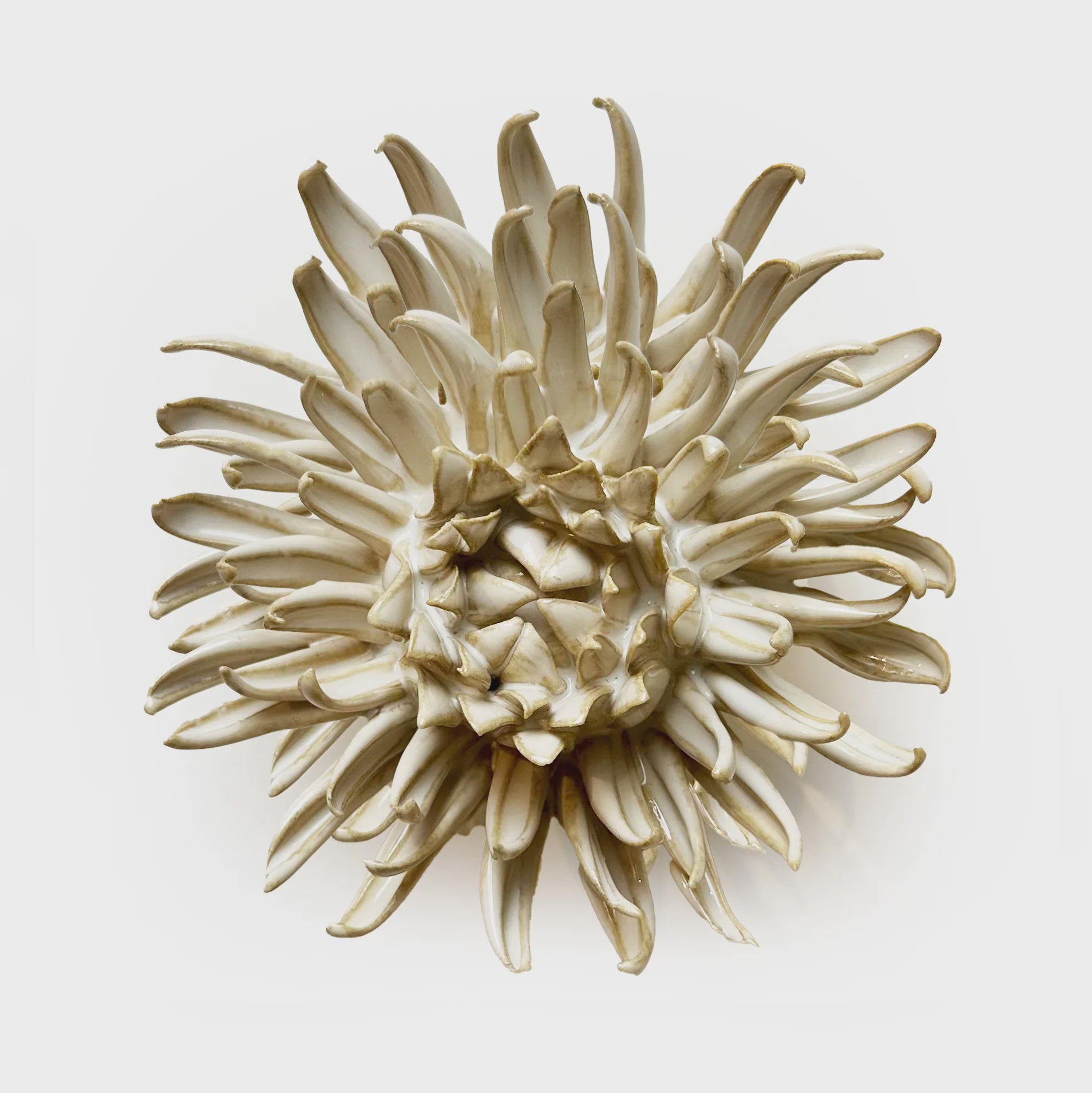 Ivory Medium Flower