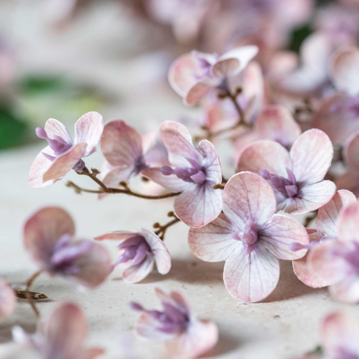 Japanese Cherry Blush